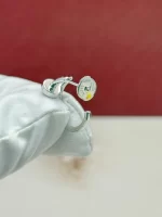 Cartier-Juste-Un-Clou-Hoop-Earrings-Small-Model