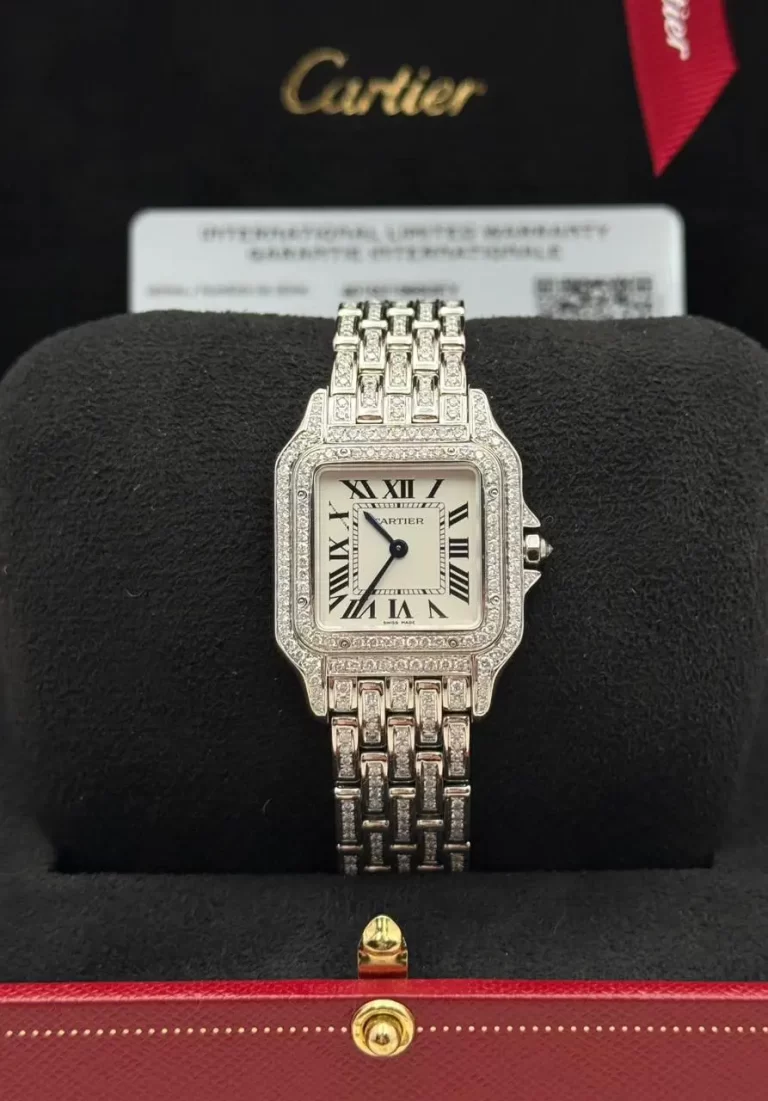Panthere-De-Cartier-Diamond-Watch-WSPN0015-Steel-Quartz-Medium-Front-Box