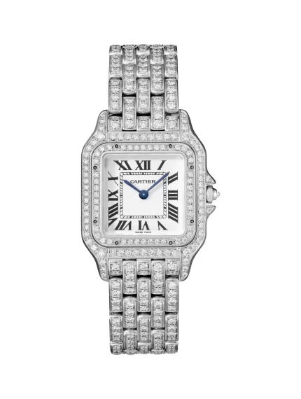 Panthere-De-Cartier-Diamond-Watch-WSPN0015-Steel-Quartz-Medium-Model