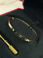 Cartier-Love-Bracelet-6-Diamonds-CRB6047218-Small-Model-Yellow-Gold-Side