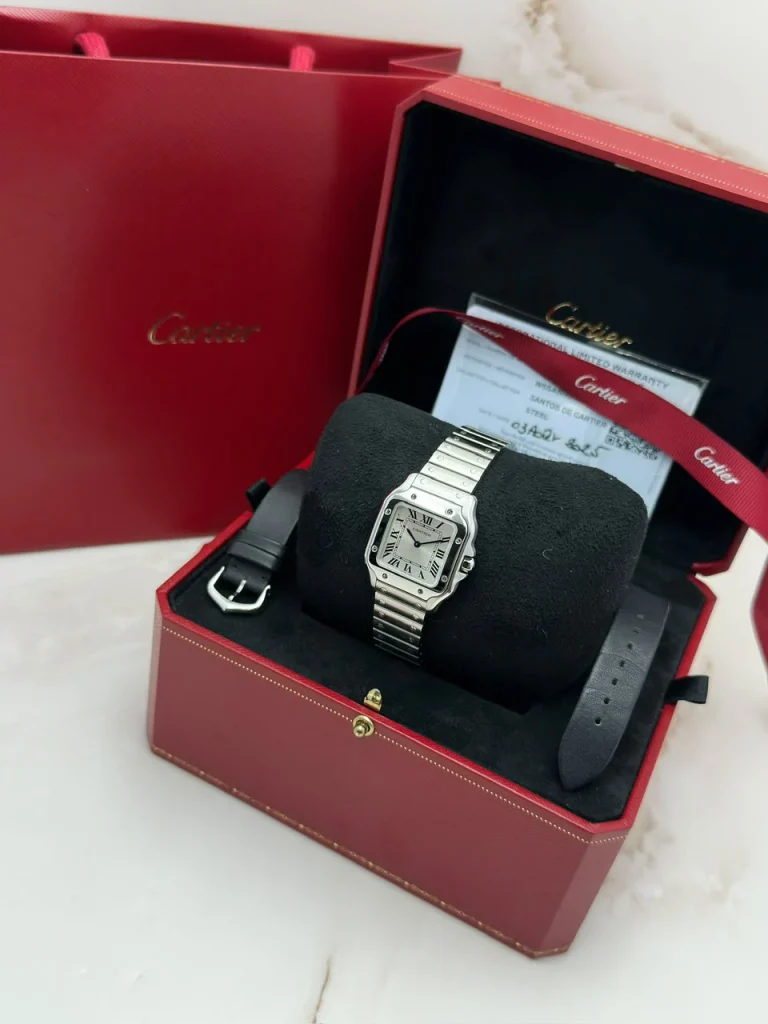 Santos-De-Cartier-Steel-Watch-WSSA0082-Small-Model-Full-Set