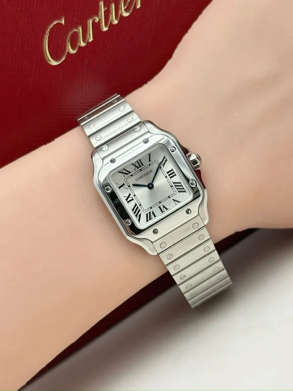 Santos-De-Cartier-Steel-Watch-WSSA0082-Small-Model-Silver-Dial-Hand
