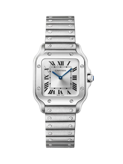 Santos-De-Cartier-Steel-Watch-WSSA0082-Small-Model-Silver-Dial-Quartz