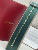 Santos-de-Cartier-Chain-Bracelet-B6021300-18k-Yellow-Gold-20