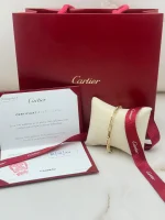 Santos-de-Cartier-Chain-Bracelet-B6021300-18k-Yellow-Gold-Certificate