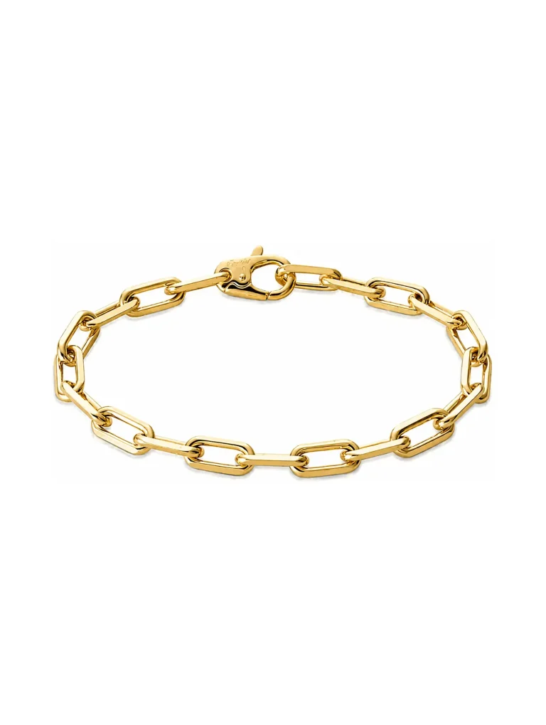 Santos-de-Cartier-Chain-Bracelet-B6021300-18k-Yellow-Gold-Medium-Model-20