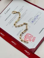 Santos-de-Cartier-Chain-Bracelet-B6021300-18k-Yellow-Gold-Medium-Model-Up