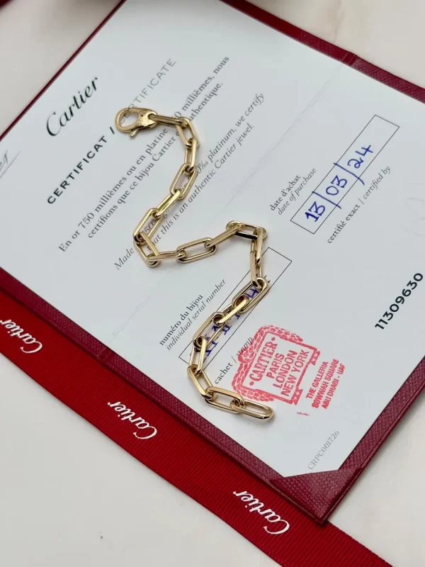 Santos-de-Cartier-Chain-Bracelet-B6021300-18k-Yellow-Gold-Medium-Model-Up