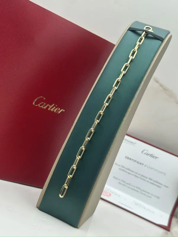 Santos-de-Cartier-Chain-Bracelet-B6021300-Medium-Model-20